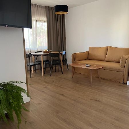 Paola Cozy Studio Rovinj Dış mekan fotoğraf