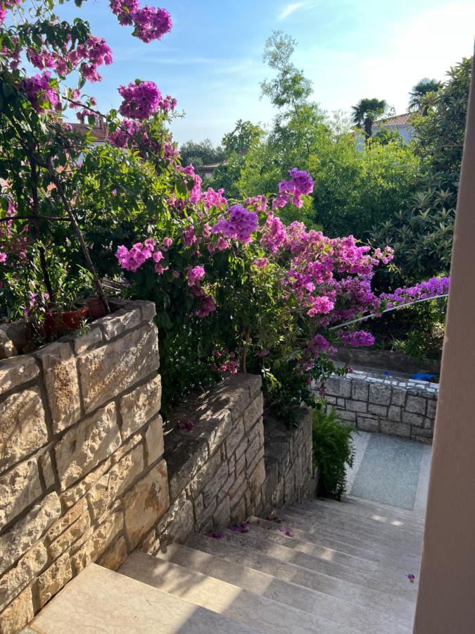 Paola Cozy Studio Rovinj Dış mekan fotoğraf